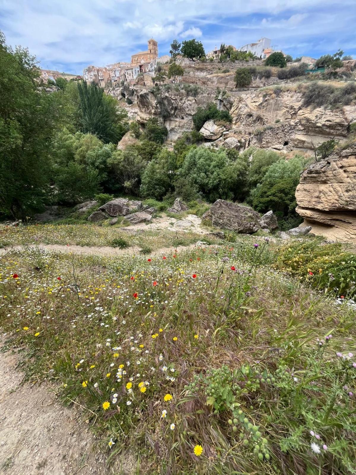 Alojamiento La Escalera Alhama de Granada Eksteriør billede