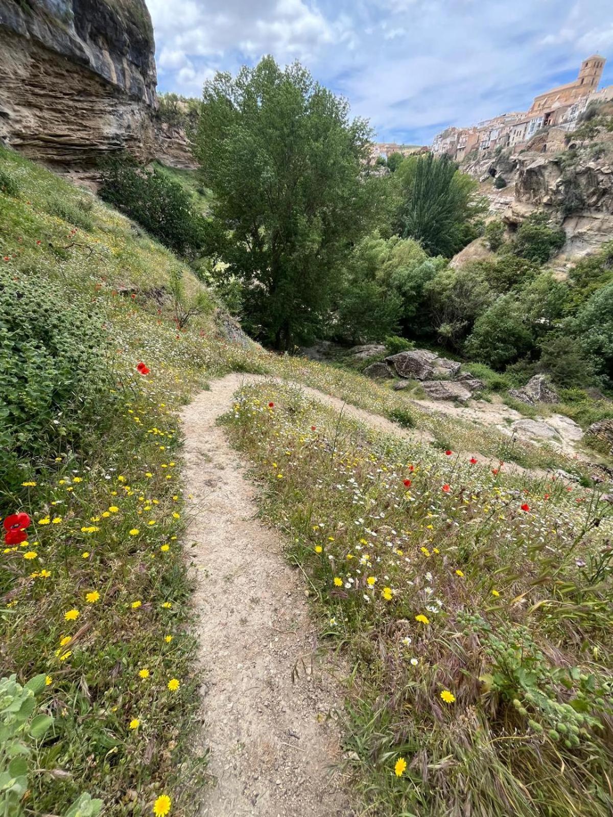 Alojamiento La Escalera Alhama de Granada Eksteriør billede